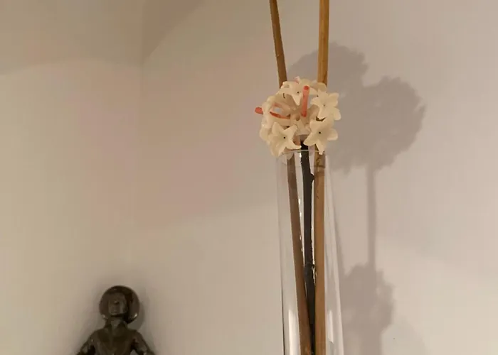 Apartamento Rosan
